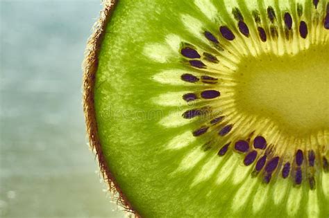 Subpng offers free dreamstime clip art, dreamstime transparent images, dreamstime vectors resources for you. Kiwi. Green Seeds Texture Pulp , #AFFILIATE, #Green, #Kiwi ...