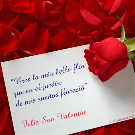 Que la amistad se haga más fuerte y que tú. Bella imagen de una rosa para descargar y compartir en ...