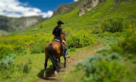 Rocky Mountain National Park Horseback Riding Horse Trail Rides Alltrips