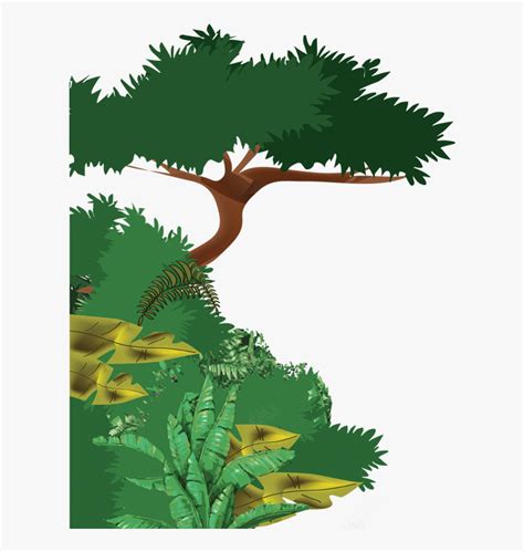 Rainforest Tree Clip Art Free Transparent Clipart