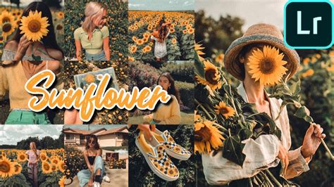 Lightroom presets and photoshop actions | beart presets. SUNFLOWER Preset | Lightroom Mobile Preset Free Dng Xmp ...