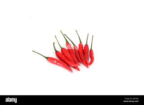 Spicy Red Hot Pepper On The White Background Stock Photo Alamy
