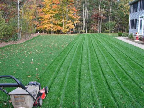 Winterizing your lawn will protect the lawn from getting damaged by the first snowfall. Hydroseeding | Hydromulching | Always Green Hydroseeding - RI