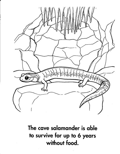 Planet Earth Awesome Animals Coloring Book Coloring Pages