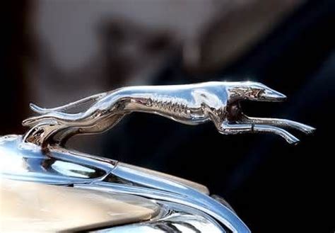 vintage hood orniments - Yahoo Image Search Results Greyhound Art