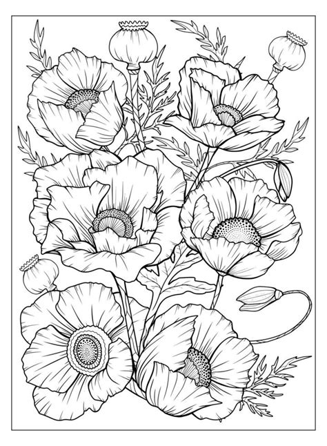 Malvorlage mit Mohn und Blättern. Vektorseite zum Ausmalen. Blume