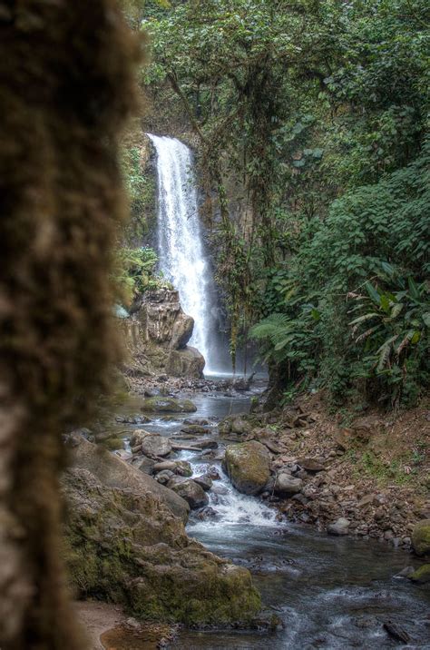 Hd Wallpaper Costa Rica La Paz Waterfall Forest River Rainforest