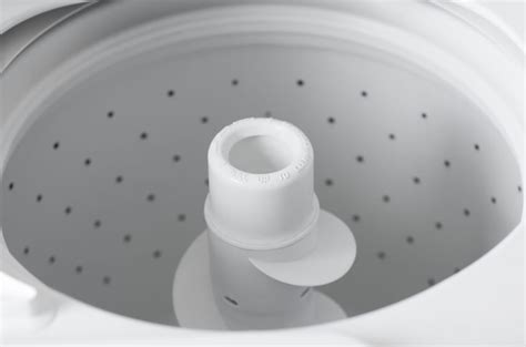 If your carpet gets soaked, you may need to remove it. Mold in the Laundry Room | How to Prevent Mold in Your ...
