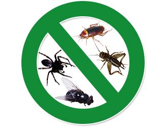 To bugs atoz pest services inc., it was hosted by godaddy.com llc and websitewelcome.com. RMC Property Services