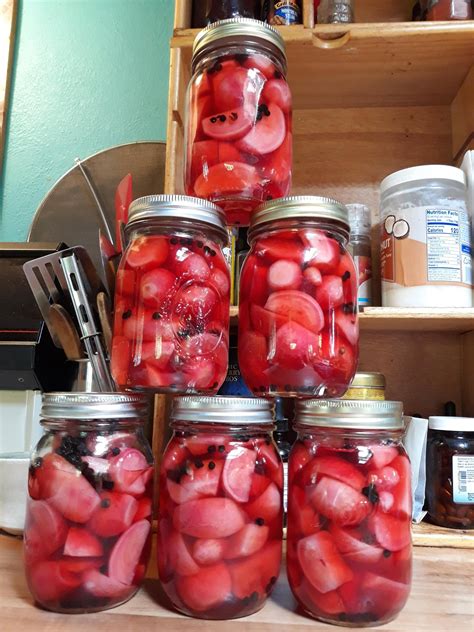 How to clean radishes from the garden. Pickled Honey Radishes 2 - SBCanning.com - homemade ...