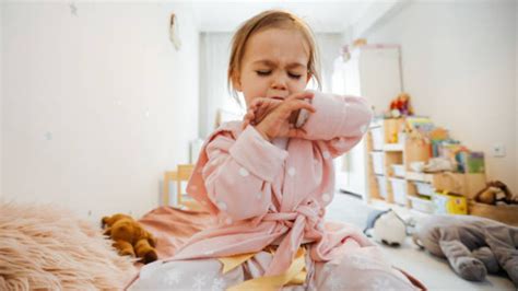 Las Principales Alergias Que Pueden Afectar A Los Niños En Casa