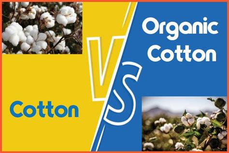 Cotton Vs Organic Cotton Find The Key Differences Textile Apex