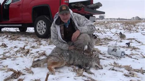 Eastern Coyote Hunting In Sw Ontario Youtube