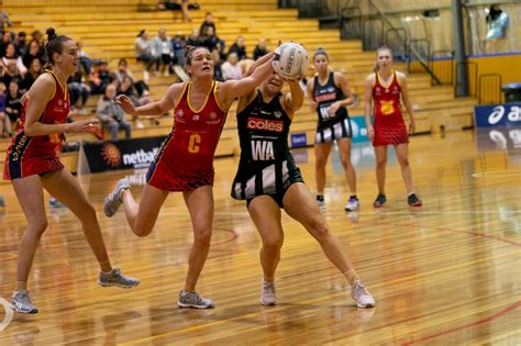 Like other members of their family, they are widely considered to be intelligent creatures. Tassie Magpies Home Game - Hobart - Netball TAS