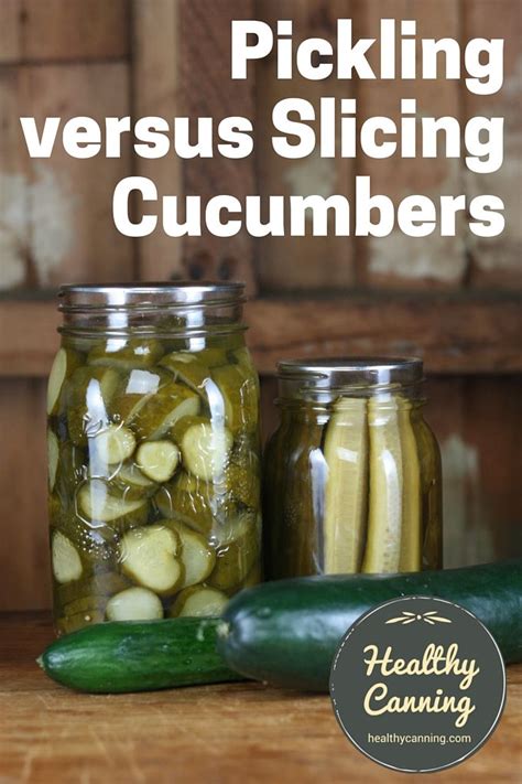 Slicing cucumbers you can slice and put in a brine in the refrigerator and eat, that will work, but that is only sour cukes, not pickled. Pickling versus slicing cucumbers - Healthy Canning ...