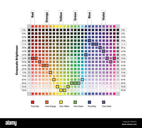 Valores Equivalentes De Color En Escala De Grises Imagen Vector De