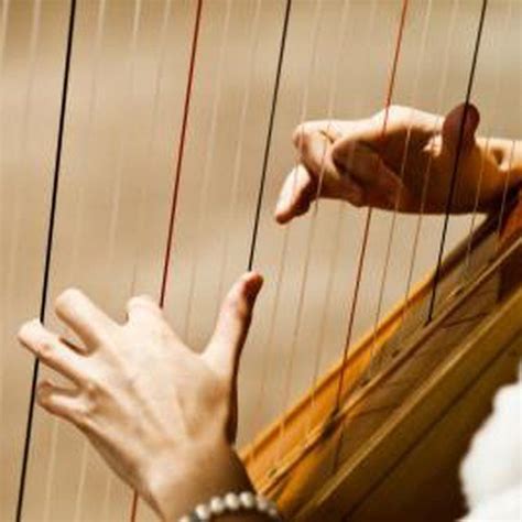 Interesting Facts About the Harp Instrument | Harp, Harps music, Violin