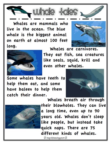 The heart of a shrimp is located in its head. whales.pdf - Google Drive | Whale facts for kids, Ocean ...