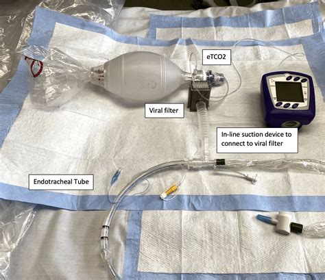 Code Blue Or Code Green A Citizens Guide To Virginia Beach Non Emergency Police