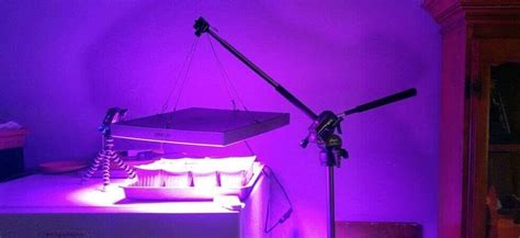 Check spelling or type a new query. How to Choose Grow Lights for Indoor Greenhouse