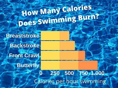 28 How Many Calories Do You Burn While Swimming Laps Ideas