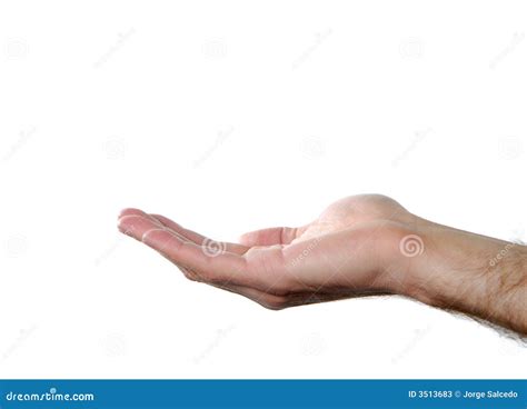 Asking Hand On White Bakground Stock Image Image Of Element Ideas