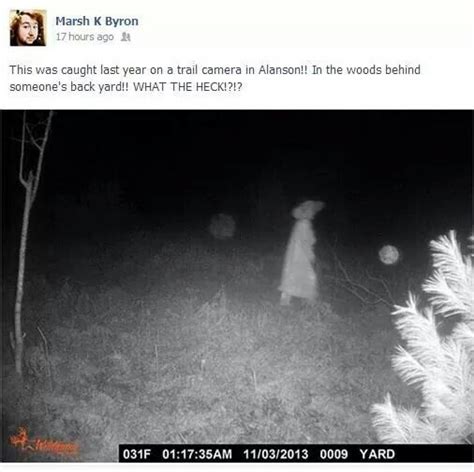 Spirit Caught On Trail Cam Notice The Orbs Ghosts Paranormal