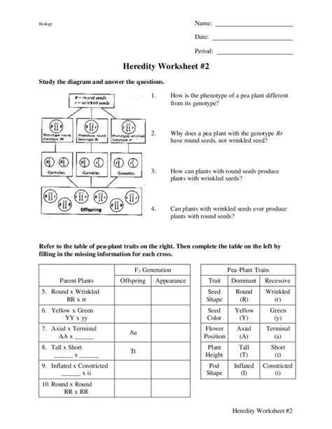 Heredity Worksheet 2 Organizer For 9th Higher Ed Lesson Planet