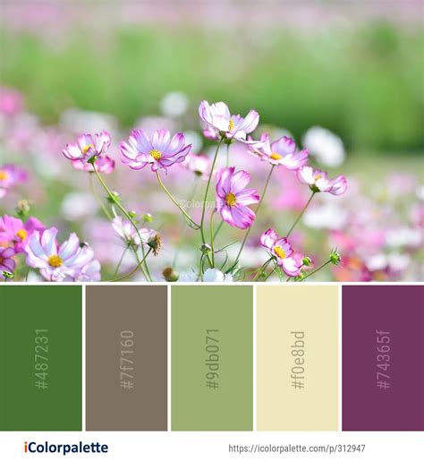 34 Cosmos Color Palette Ideas In 2022 Icolorpalette