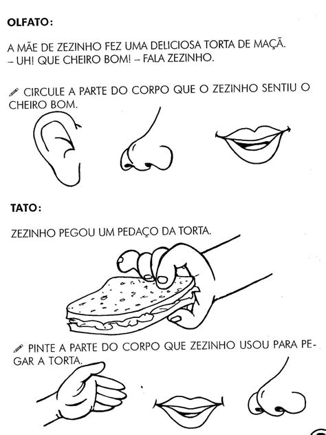 Atividades De CiÊncias 2° Ano Sentidos I Atividades E Desenhos