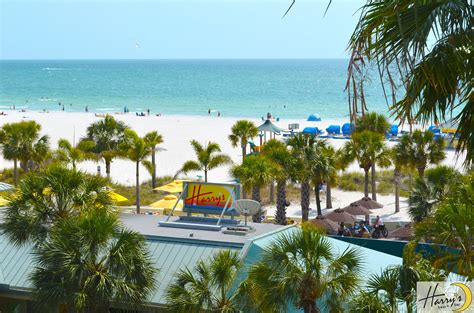 Harrys Beach Bar At Sirata Beach Resort Beach Bar Florida Summer