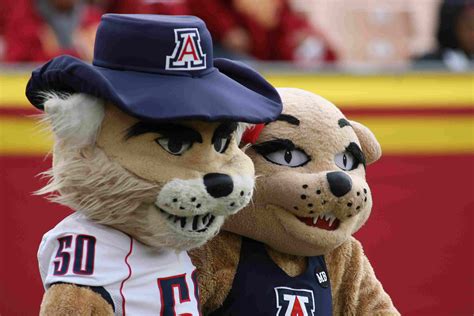Guide To Arizona Sports Team Mascots