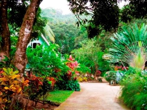 places to visit in dominica