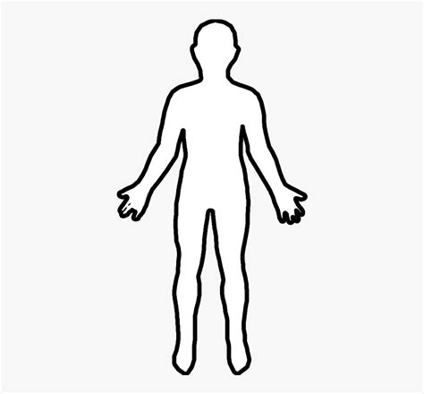 Transparent Body Outline Png Figure Drawing Free Transparent