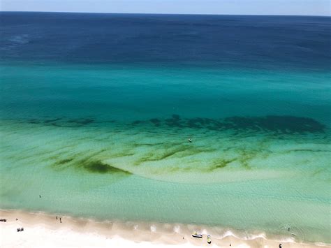 My Condo at Sterling Breeze in Panama City Beach, FL | Panama City Beach FL