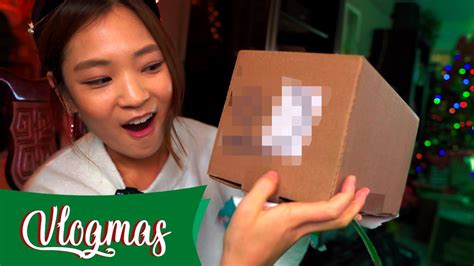 Ending Vlogmas With A Wild Secret Santa Merry Christmas Vlogmas
