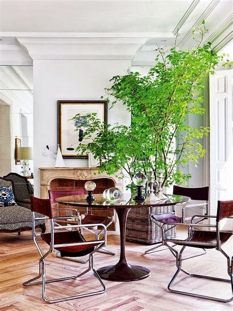Read on for some simple, fun, and totally refreshing ways to add greenery and decorate with plants in your home. Fantastic Tips To Decorate Your Home With Tall Indoor Plants