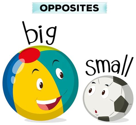 Opposite Words For Big And Small Vector Free Download