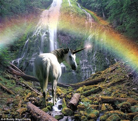 Horned Beast From 26000 Years Ago May Be Behind Unicorn Myth Daily