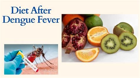 Eating The Right Diet After Dengue Fever Health Habitat