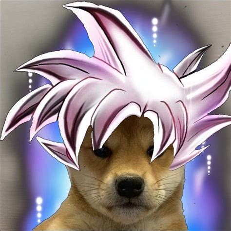 Ultra Instinct Dog Wif Hat Darroneats Dog Icon Dog Images Tupac Art