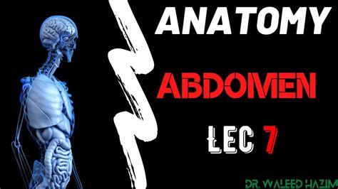 Nmc2nd Abdomen Anatomy Lec 7 Youtube