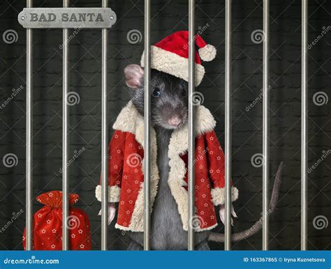 Rato Em Santa Claus Armado Na Prisão Imagem De Stock Imagem De Santa