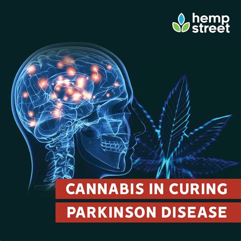 cannabis in curing parkinson s disease hempstreet