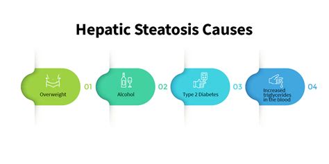 What Is Hepatic Steatosis Causes Diagnosis Treatment Aqmdi