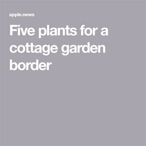 Five Plants For A Cottage Garden Border — Bbc Gardeners World Magazine