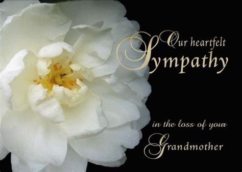 Quotes for when you've just lost your grandma #23. Loss of Grandmother, Our Sympathy, white flower card #Ad ...