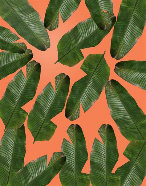 Peel And Stick Wallpaper Green
