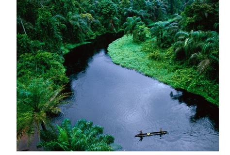 Photo Waterway In A Congo Forest