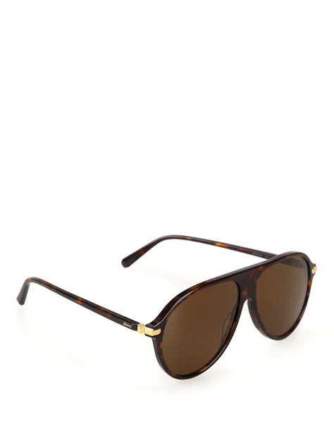 Sunglasses Brioni Dark Tortoise Aviator Sunglasses Br0059s002